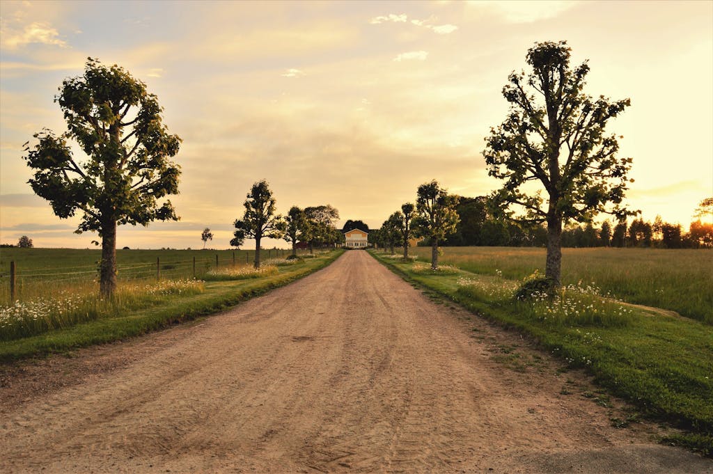 A peaceful rural landscape with a tree-lined dirt road leading to a distant farmhouse during a beautiful sunset.